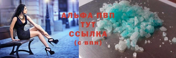 прущие грибы Балабаново