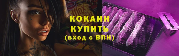 прущие грибы Балабаново