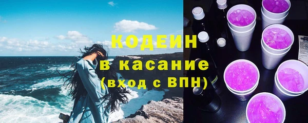 прущие грибы Балабаново